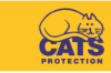 Cats Protection